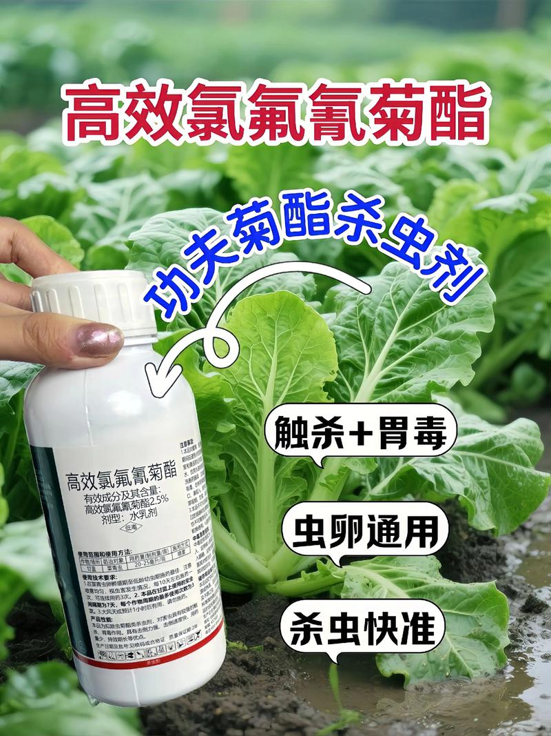 吴忠代生中心:农药对供卵代生妈妈的危害